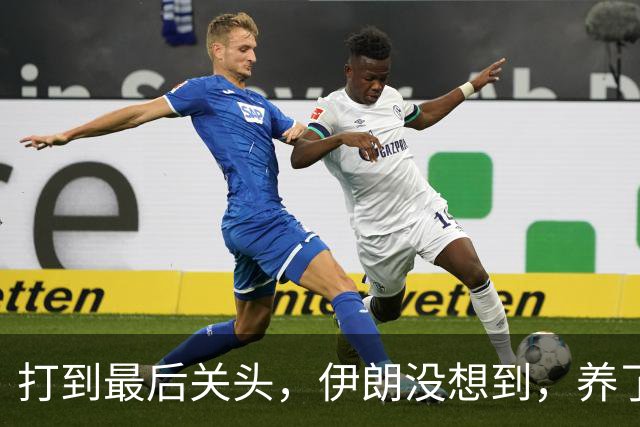 打到最后关头，伊朗没想到，养了20多年的哈马斯，竟跪在了黎明前