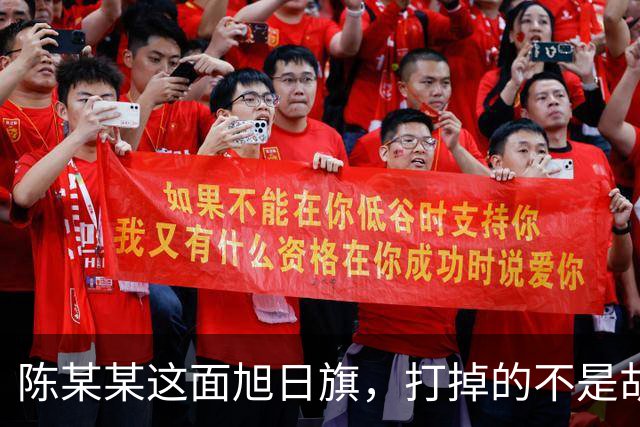陈某某这面旭日旗，打掉的不是胡锡进的面子，是一层中邪论的滤镜